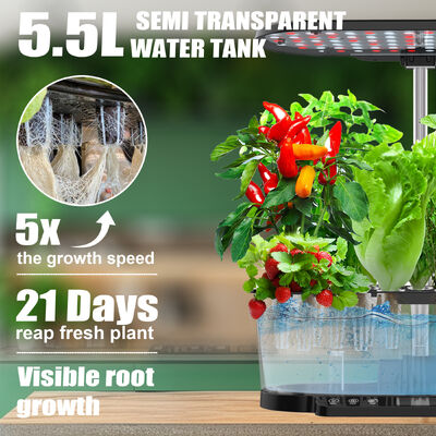 15 Pods Slimme Hydroponics Systeem met Full-Spectrum LED en Slimme Watercirculatie voor Kamerplanten