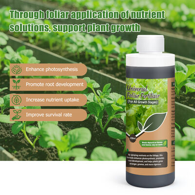 250 ml Hoge Nauwkeurigheid Universele Bladmeststof voor Plantengroei Versterker en Universele Test