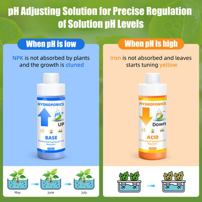 Hydroponische pH-regeling Kit met 250 ml inhoud voor optimale opname van plantenvoedingsstoffen en stabiele formule