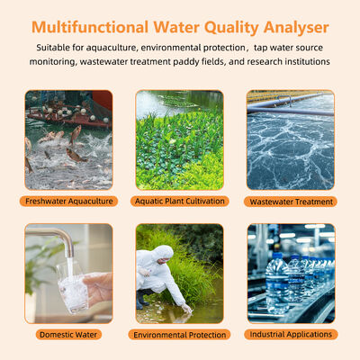 Slimme Bluetooth Opgeloste Zuurstofmeter met 0~20 mg/L Bereik en Magnetisch Opladen voor Aquacultuur en Laboratoria