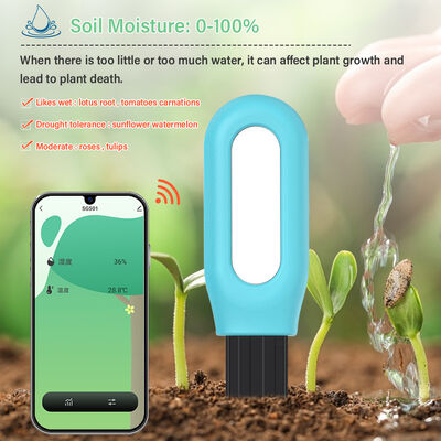 Draadloze ZigBee slimme bodemvocht temperatuurmonitor voor planten App gecontroleerd