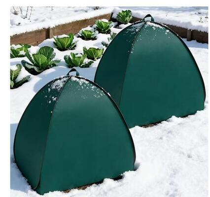 Opvouwbare winterplantbeschermingstent Anti-vries Windsneeuwbestendige voor tuin Groenten Fruit Flower